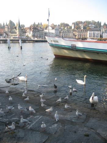 Luzern 027.jpg   28kb   26.03.2021 22:39:45